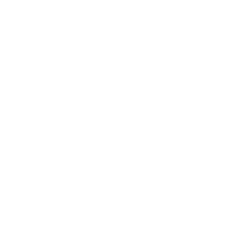 Discord icon